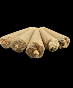 Forbidos GH Pre Roll